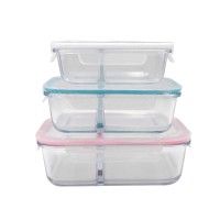 High Borosilicate Glass leakproof bento lunch box